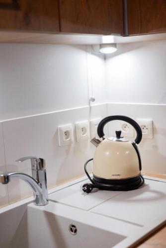 une bouilloire installée au-dessus d'un comptoir de cuisine dans l'établissement Sérénité totale : appartement ensoleillé, à Clichy