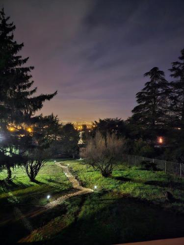 un champ de nuit avec des arbres et un chemin dans l'établissement Le Cocon à Bulles, à Charly