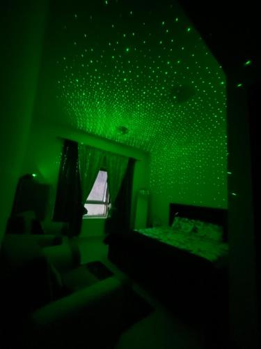 a green room with a bed and a window at SHJ DXB Sunny Border Guesthouse in Dubai