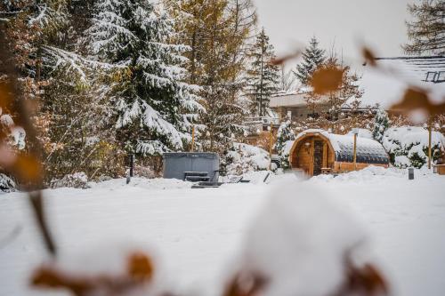 a snow covered yard with a cabin in the background at Srebrny Bucznik Wellness & Restaurant in Istebna