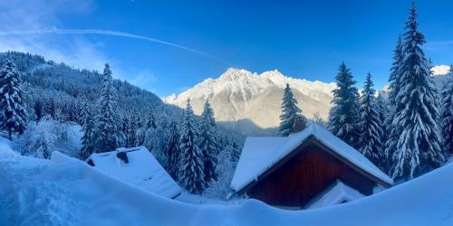 Chalet 14 personnes Alpe d Huez v zimě