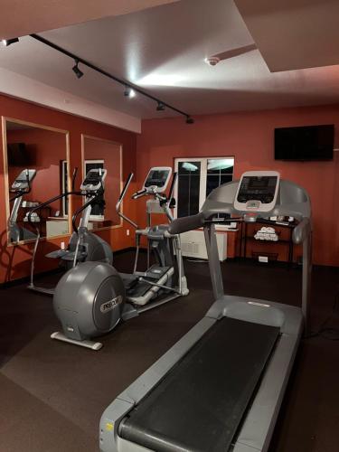 Palestra o centro fitness di Hotel North Pole