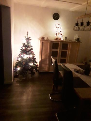 a christmas tree in the corner of a living room at Haus Sperling in Bad Zwischenahn