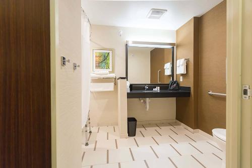 ジェームズタウンにあるFairfield Inn & Suites by Marriott Jamestownの洗面台とトイレ付きのバスルーム