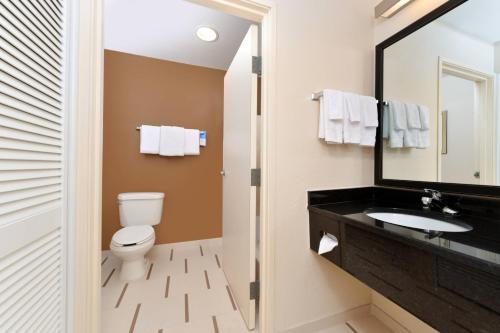 a bathroom with a toilet and a sink and a mirror at Fairfield Inn Jacksonville Orange Park in Orange Park
