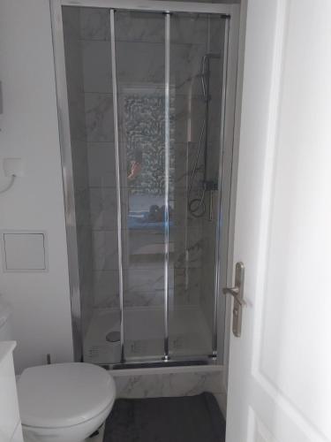 une salle de bain avec toilettes et douche en verre dans l'établissement Studio pour deux - WiFi, à Dijon