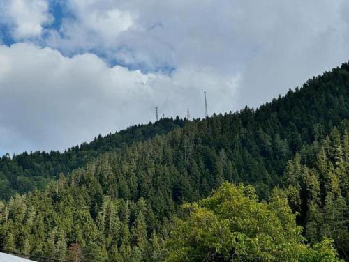 Paesaggio naturale nelle vicinanze dell'appartamento