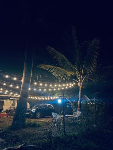 a car parked next to a palm tree with lights at House Of Munnar in Anachal