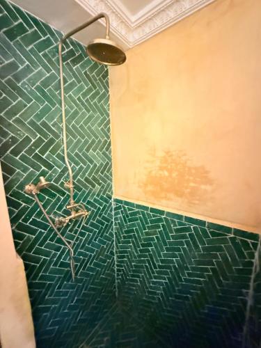 a bathroom with a shower with a green at Riad Dama & Spa in Marrakech