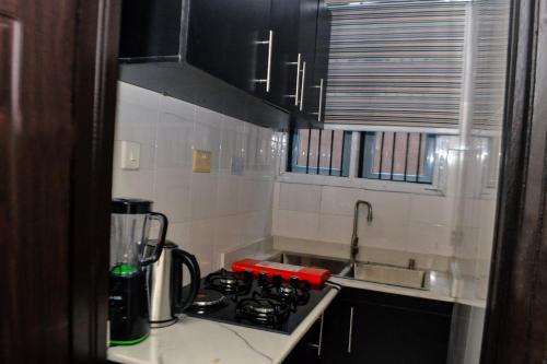 a small kitchen with a stove and a sink at SEGXYCOLD VALLEY OASIS Stunning one-bedroom apartment in Ijaiye