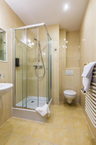 a bathroom with a shower and a toilet at OSW Pan Tadeusz in Krynica Zdrój
