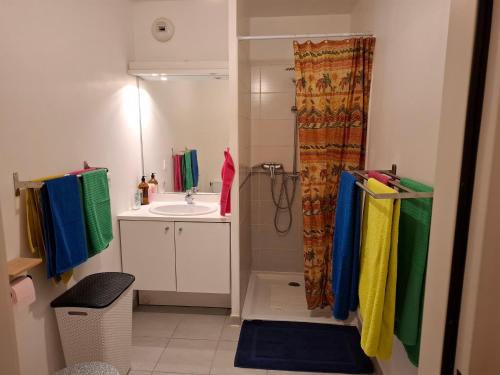 une salle de bain avec douche et lavabo dans l'établissement Appartement Beau Sejour, à Marseille