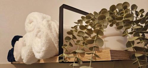 a mirror on a shelf with a stuffed animal and a plant at Fresh Cotton, 5mn from ZooParc de Beauval in Saint-Aignan