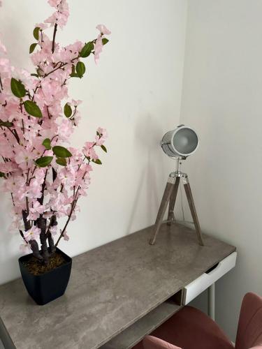 a plant sitting on a table next to a tripod at Harmony House 3 Bedroom New Build for Families, Contractors, Black Country Museum Sleeps 6 in Tipton