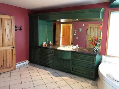 Saint Aime Des LacsChalet des aviateurs的带水槽和大镜子的浴室