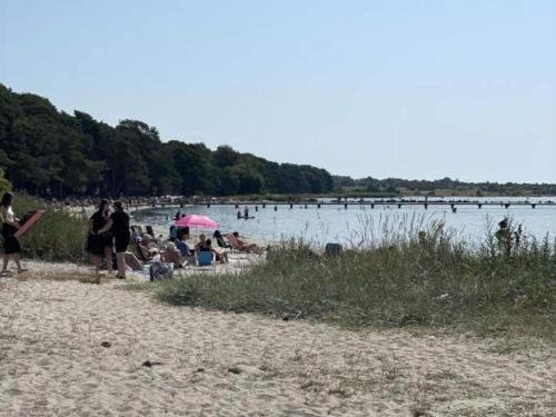 a group of people on a beach near the water at Small Double Room at Hanohus Hotel in Sölvesborg