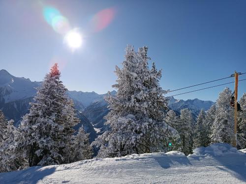 a ski slope with snow covered trees and a ski lift at Haus Angelika im Zillertal in Hippach