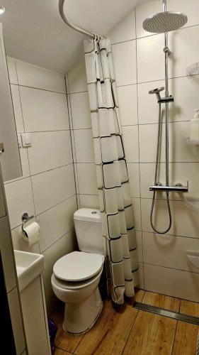 a small bathroom with a toilet and a shower at Zakątek u Poety Dąbrówka in Jasło