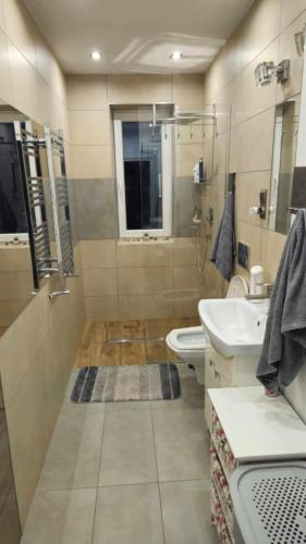 a bathroom with a shower and a sink and a toilet at Zakątek u Poety Dąbrówka in Jasło