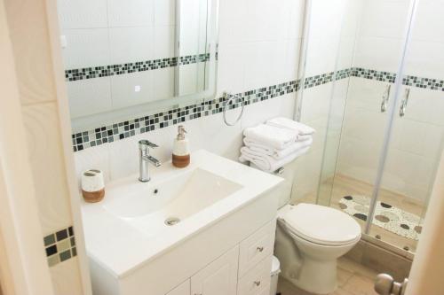 a bathroom with a sink and a toilet and a shower at Terraza Traslaviña in Viña del Mar
