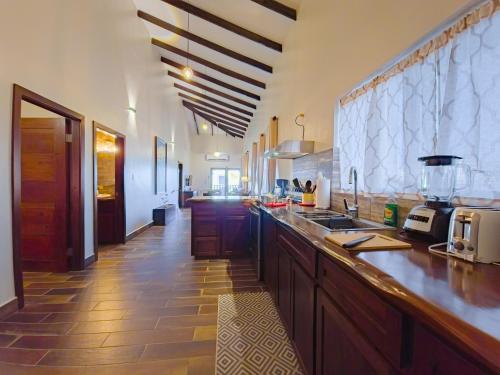 a large kitchen with a counter top and a counter sidx sidx sidx sidx at Louis' Apartments in Placencia Village