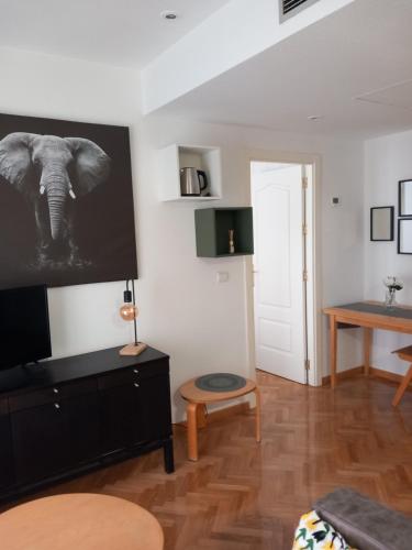 Μια τηλεόραση ή/και κέντρο ψυχαγωγίας στο Apartamento Amazónico en Aranjuez