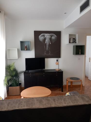 Μια τηλεόραση ή/και κέντρο ψυχαγωγίας στο Apartamento Amazónico en Aranjuez