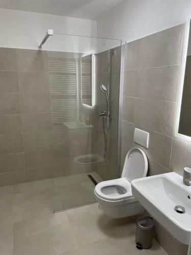 a bathroom with a shower and a toilet and a sink at Apartmán Rozárka in Deštné v Orlických horách