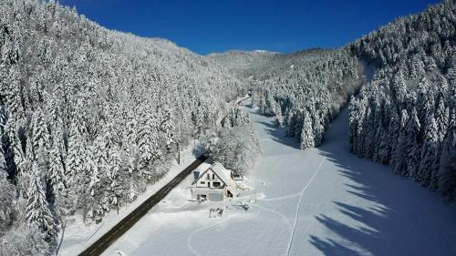 a cabin in the middle of a snow covered forest at Studio La Résilience, au pied des pistes à Autrans in Autrans
