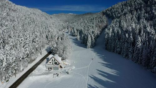 a cabin in the middle of a snow covered forest at Studio La Résilience, au pied des pistes à Autrans in Autrans