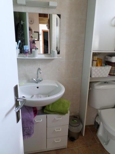 une salle de bain avec un lavabo et des toilettes dans l'établissement La Maison bleu, à Saint-Tugdual