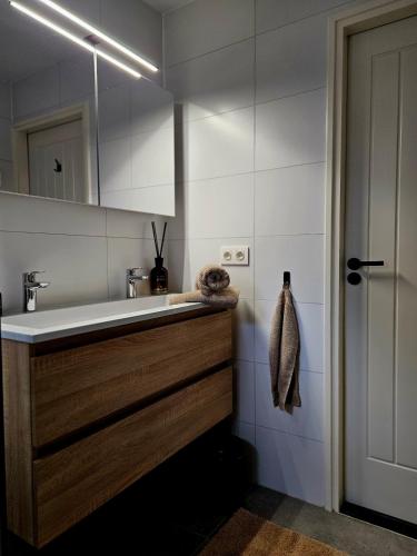 a bathroom with a sink and a mirror at Boshuisje Zunne in Zelhem