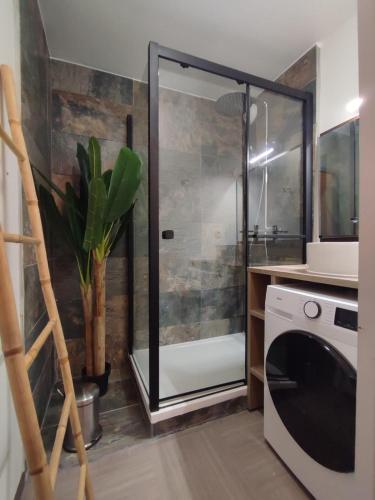 une salle de bain avec douche et machine à laver dans l'établissement La terrasse de l'Imbut - Climatisation & Piscine, à Gréoux-les-Bains