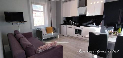 a living room with a couch and a kitchen at Willa pod Aniołem in Szczawnica