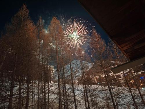 a firework in the sky with trees in the snow at Duplex 6 personne au pied des pistes in Allos