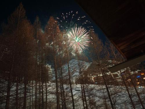 a firework display in the sky with snow and trees at Duplex 6 personne au pied des pistes in Allos