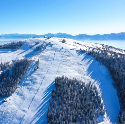 an aerial view of a snow covered hill with trees at Burg VIEW Apartment im Herzen von Treffen am Ossiachersee in Treffen