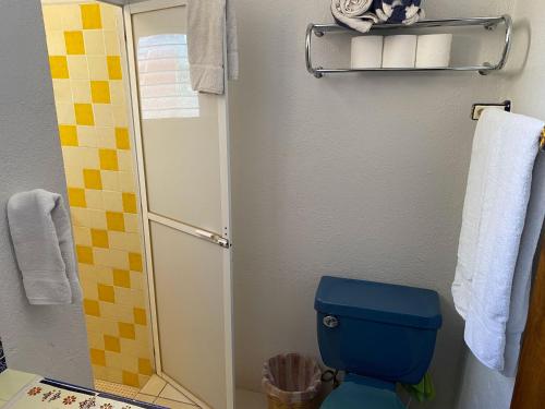 埃斯孔迪多港Hotel Zandoyo Bed & Breakfast的浴室配有蓝色卫生间和淋浴。