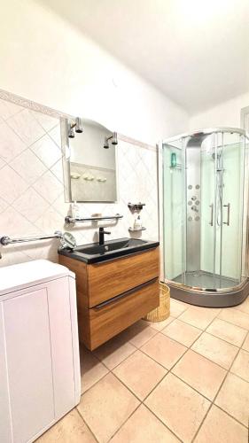 une salle de bain avec un lavabo et une douche dans l'établissement Nid moderne à Longwy et près des grands axes, à Longwy