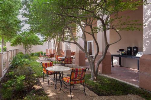 Сад в Dallas Marriott Suites Medical/Market Center