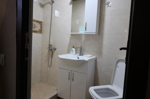 a bathroom with a sink and a shower and a toilet at Retro House in Borjomi