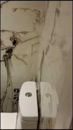 شاليه هلنان بورفؤاد