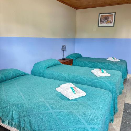 Postel nebo postele na pokoji v ubytování Hosteria Los 2 Pinos