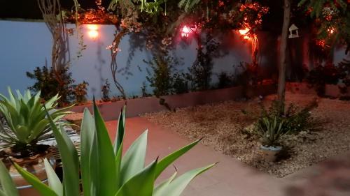 a garden with a bunch of plants and lights at Villa Diletta Luxor in Luxor