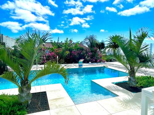 a swimming pool with two palm trees in a yard at Casa Ortega in Los Llanos de Aridane