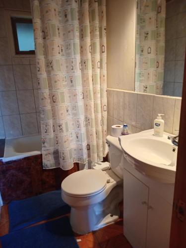 a bathroom with a toilet and a sink at El Avellano in Frutillar