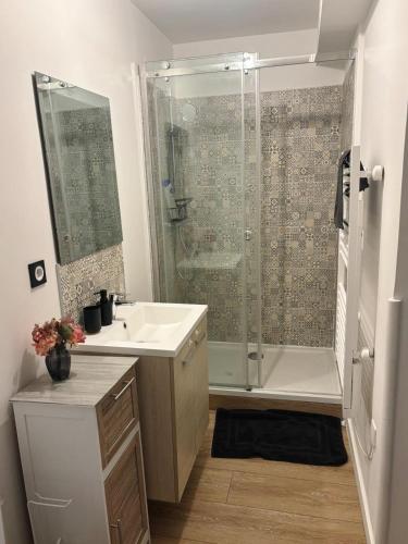 une salle de bain avec douche et lavabo dans l'établissement Studio cosy en centre-ville, à Évreux
