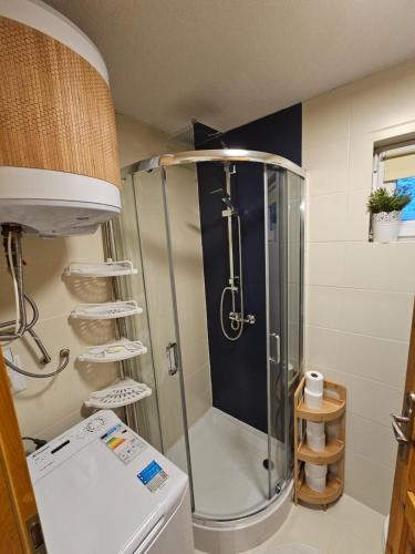 a shower with a glass door in a bathroom at Tysiowa Chata in Mchawa
