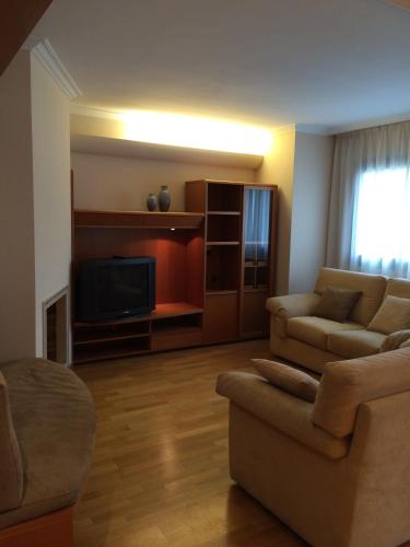 a living room with a couch and a television at Apartaments i habitacions Can Morera Olot in Olot