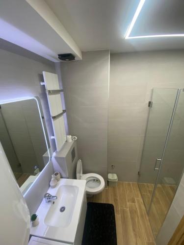 a bathroom with a sink and a toilet and a shower at El Placer in Zlatibor